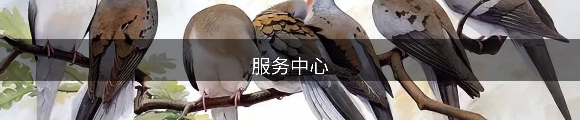 服务中心